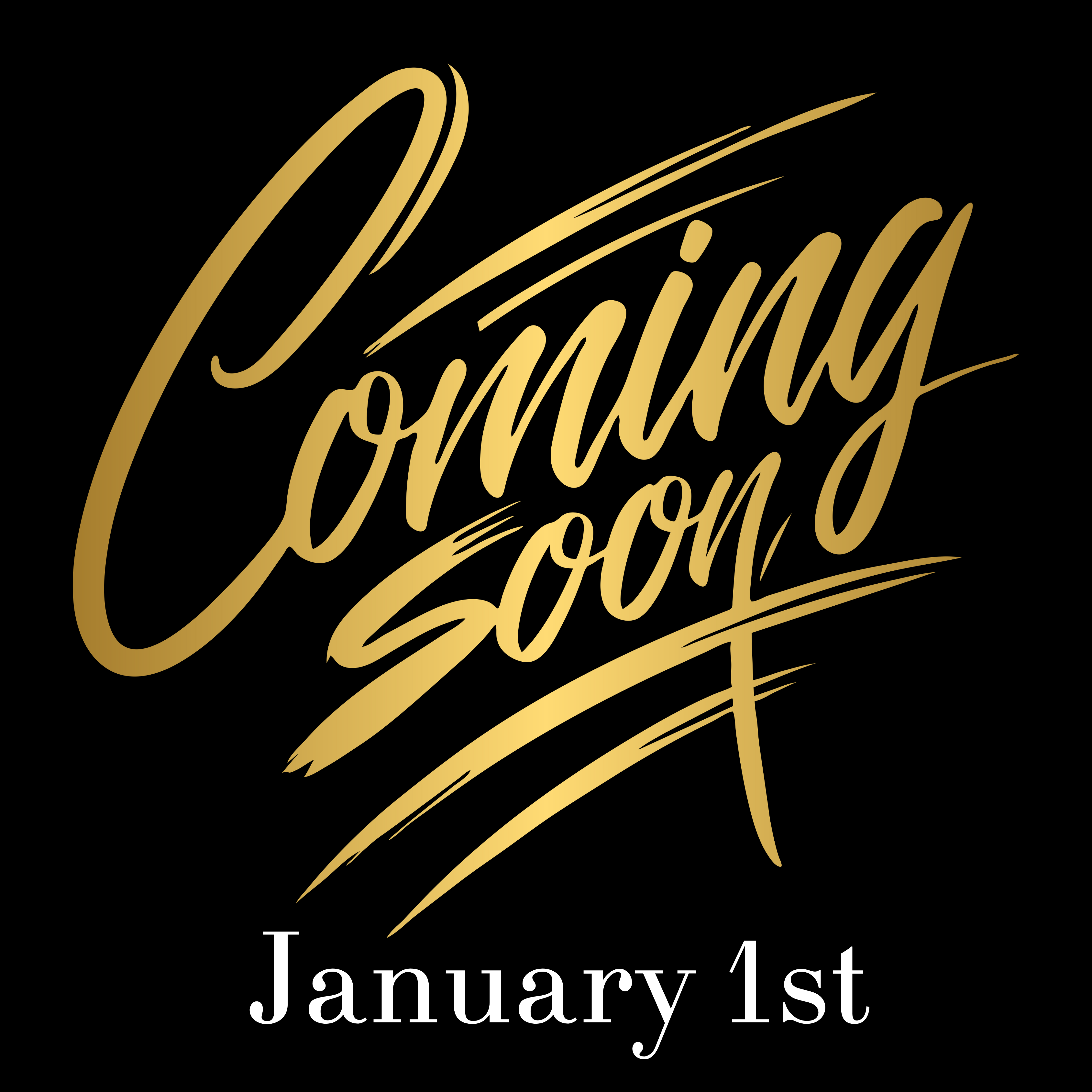 Desert Bloom Signature Face Oil - Seal